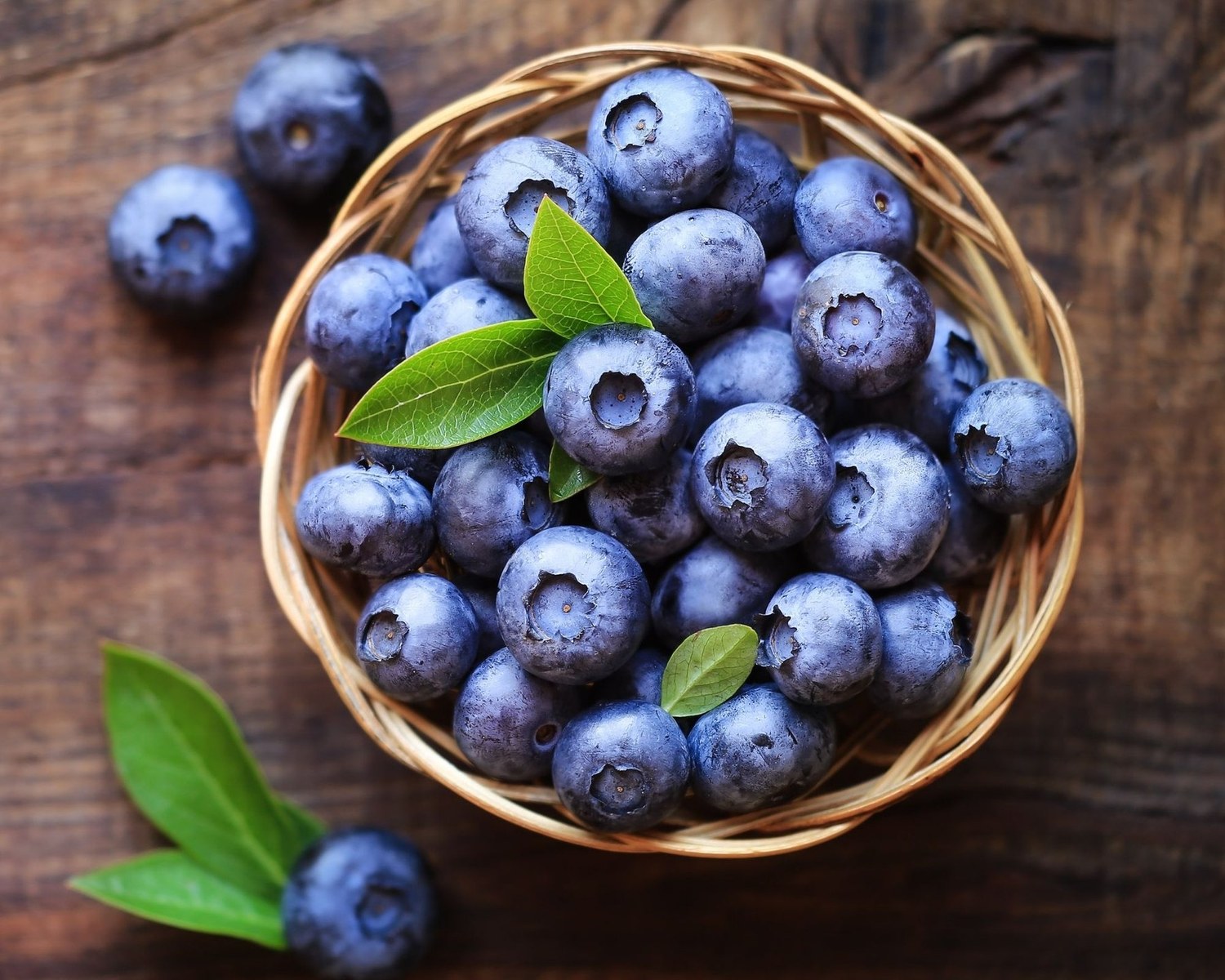 Fresh blueberries