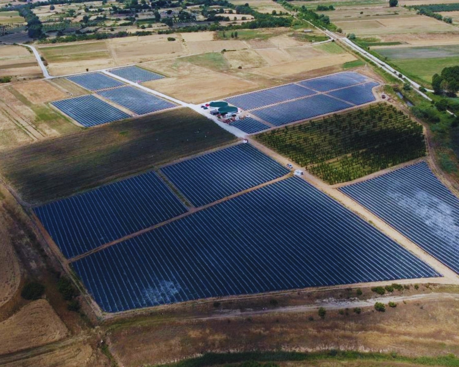 Aerial view of Bluefarm IKE blueberry production area