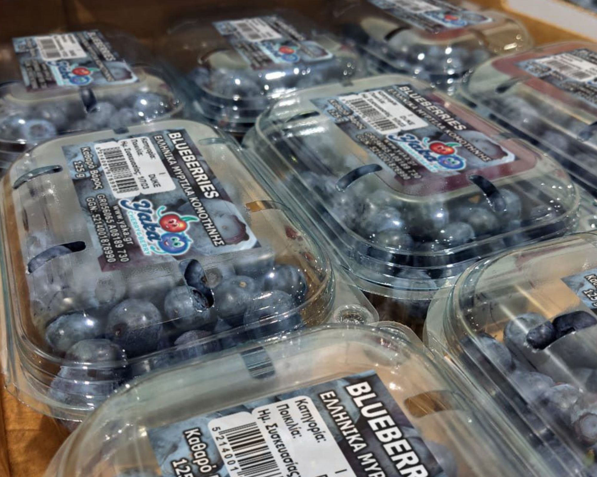 Retail-ready blueberry packs